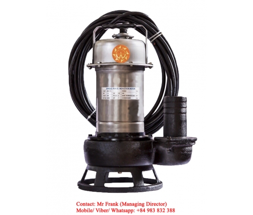 Submersisle Sewage Pump