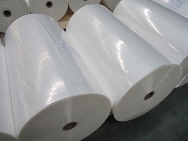 PE Roll 02