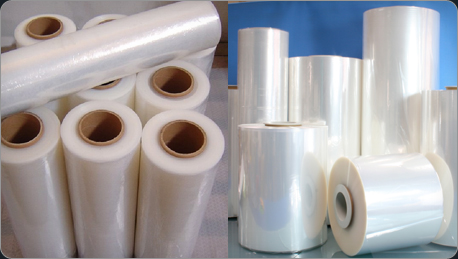 PP Roll 01