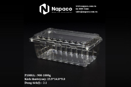 Vacuum formed plastic box