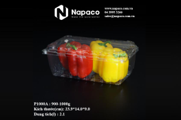 Vacuum formed plastic box