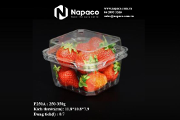 Vacuum formed plastic box