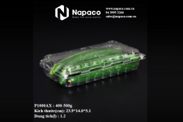 Vacuum formed plastic box