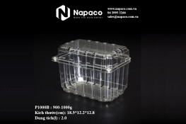 Vacuum formed plastic box