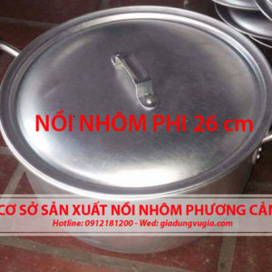 26cm Aluminum pot