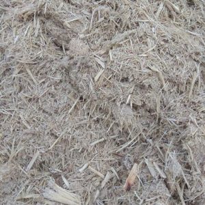 Sugarcane bagasse