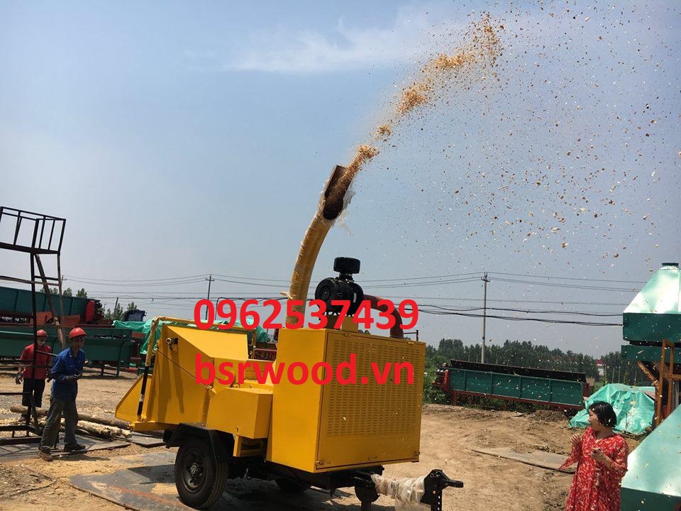 BSR BC1000 Portable Wood Chipper