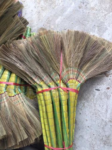Reed Broom