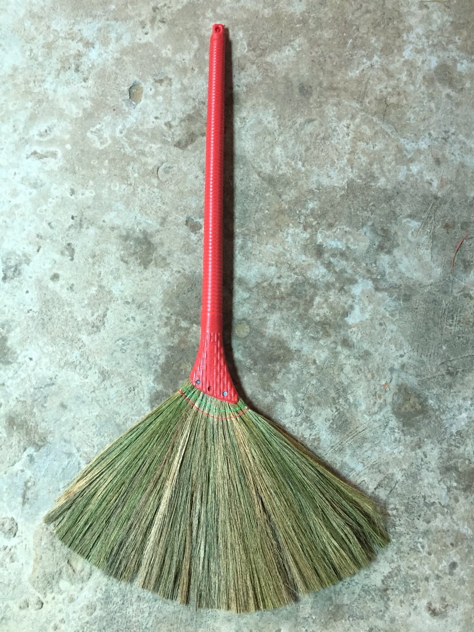 Reed Broom