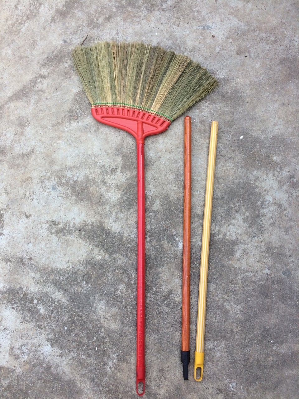 Reed Broom