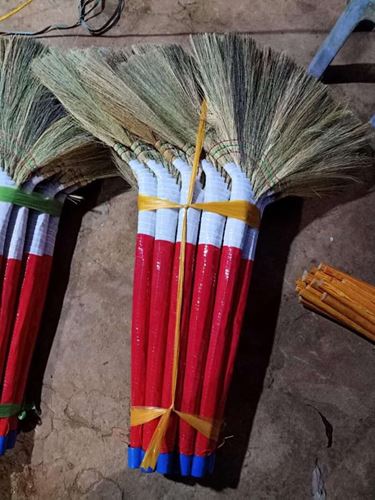 Reed Broom