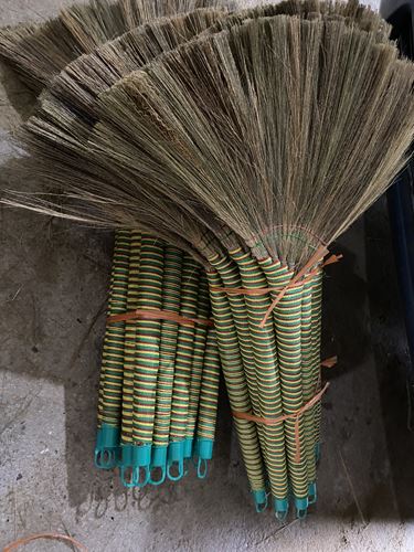 Reed Broom
