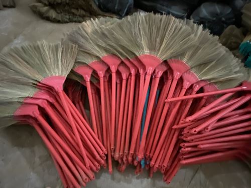 Reed Broom