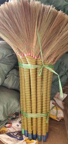 Reed Broom