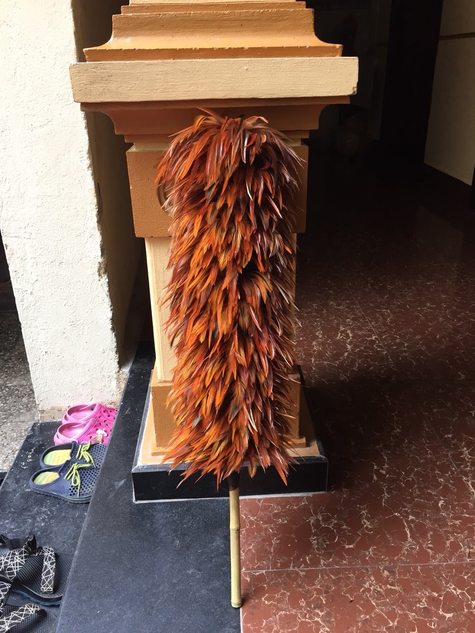 Feather duster