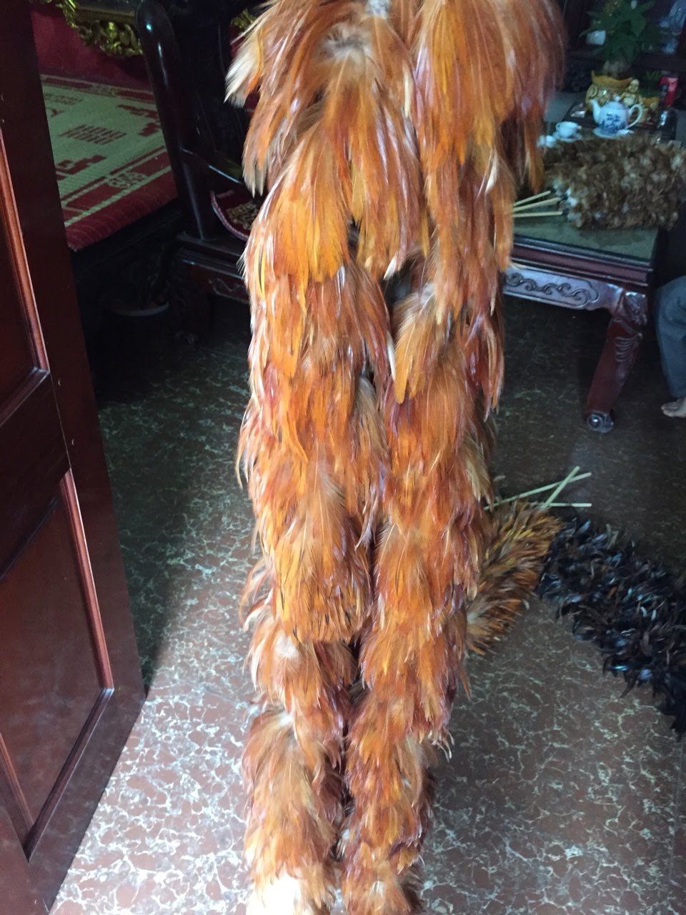 Feather duster