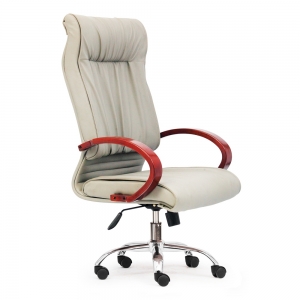 Director chair