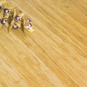 Bamboo flooring