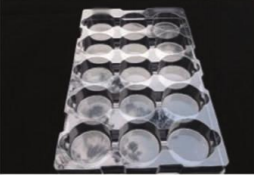 Plastic tray