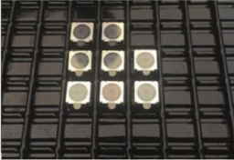 Plastic tray