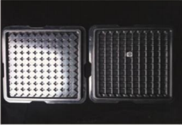 Plastic tray