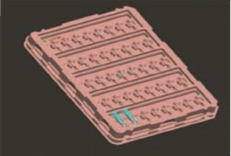 Plastic tray