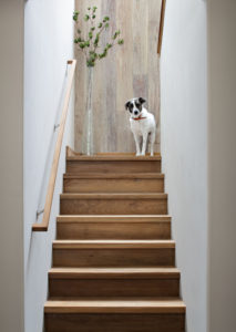 Teak Wood Stair