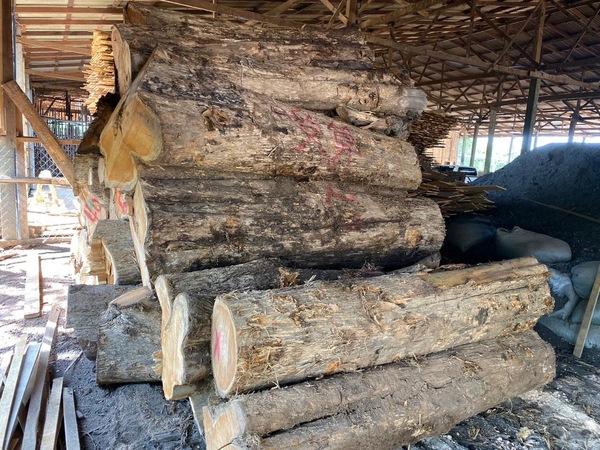 Raw Material Teak Wood