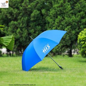 Folded umbrella