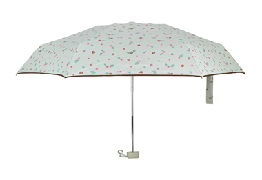 Mini umbrella