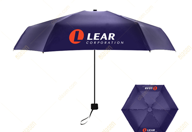 Mini umbrella