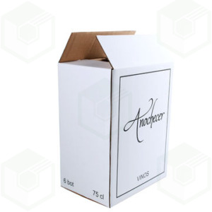 Cardboard shoe box