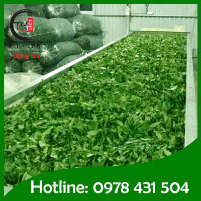 Export Tea