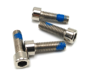 Stainless steel screws