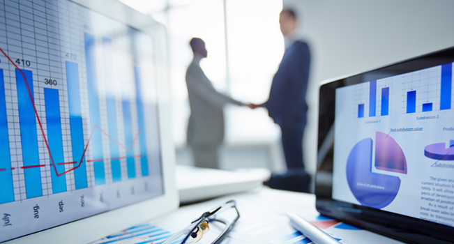 Foreign capital company establishment consulting service