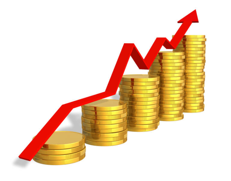 Charter capital change consulting service