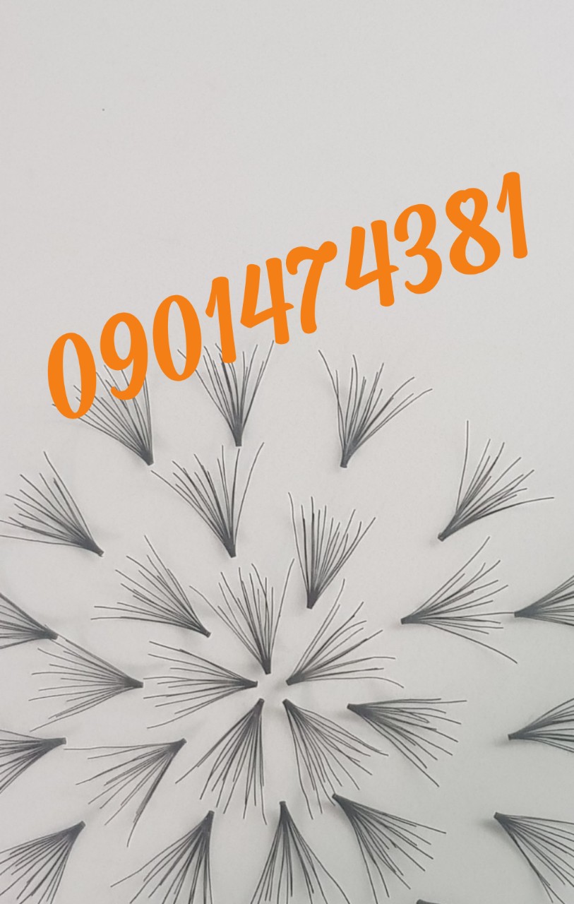 False eyelashes