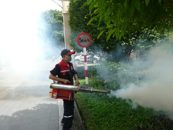 Flying insect control