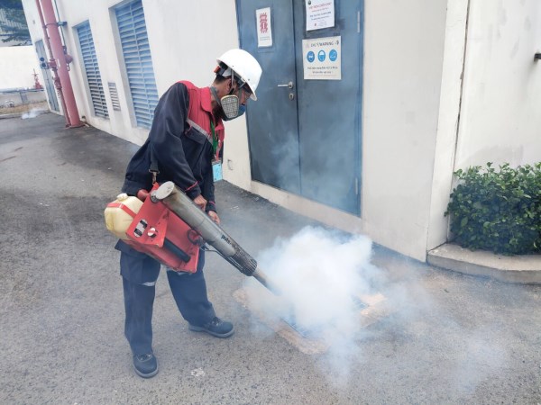 Flying insect control