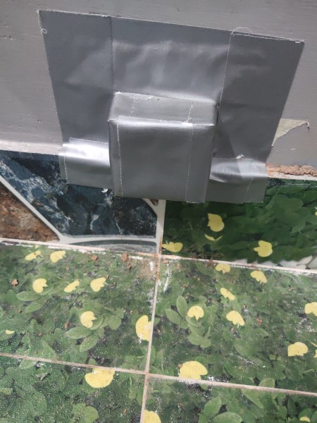 Termite control services