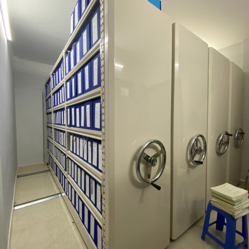 6-Tier mobile shelving rack
