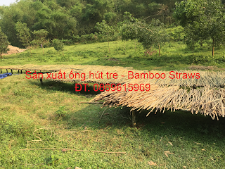Bamboo straws
