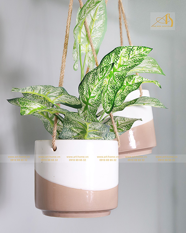 Indoor vases and pots