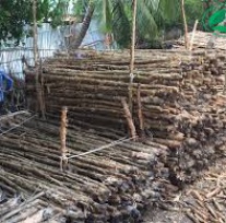 Melaleuca timber pile - 5-7 diameter, 4-4,5m tall