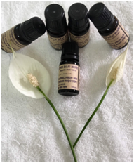 Grapefruit peels essential oil - 10ml