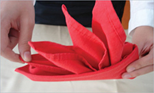 Napkin