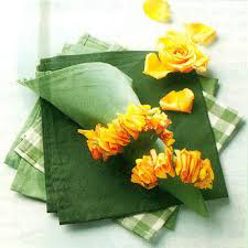 Napkin