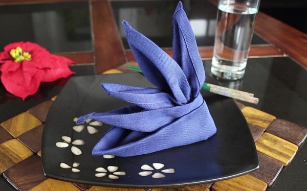 Napkin