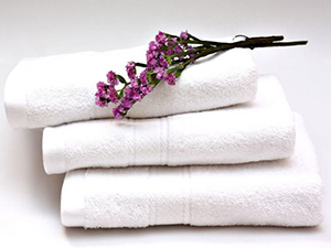 Exported Cotton Towel