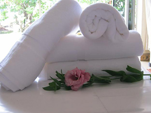 Spa Towel